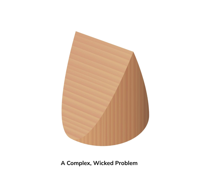 A Complex, Wicked Problem