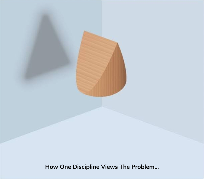 How One Discipline Views the Problem