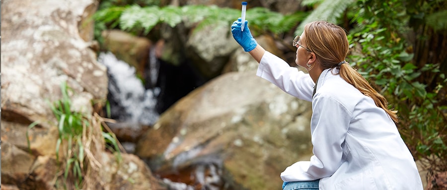 Environmental Studies Research Programs