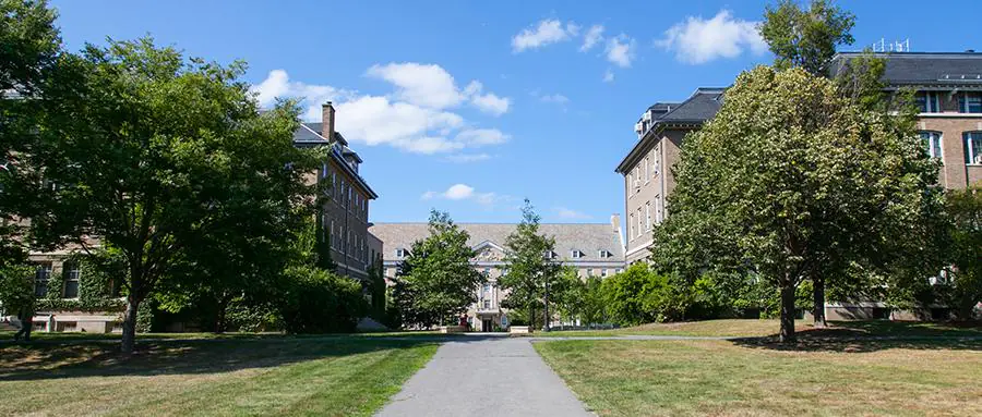 Cornell Precollege Program Online