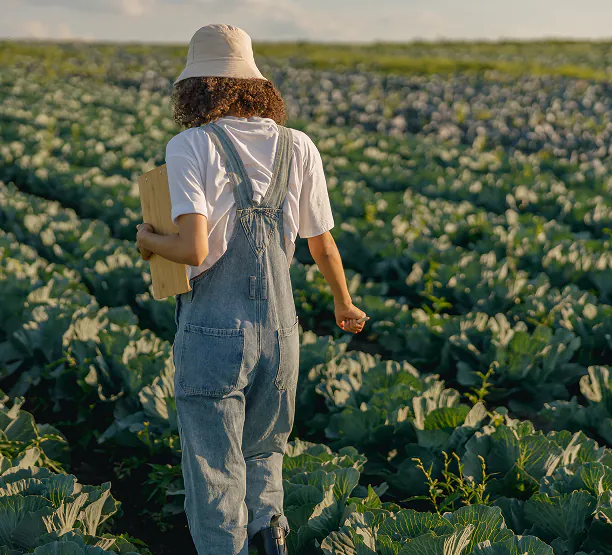 Understanding Food Systems and the Climate Crisis