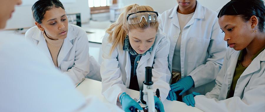 NIH Summer Internship Program