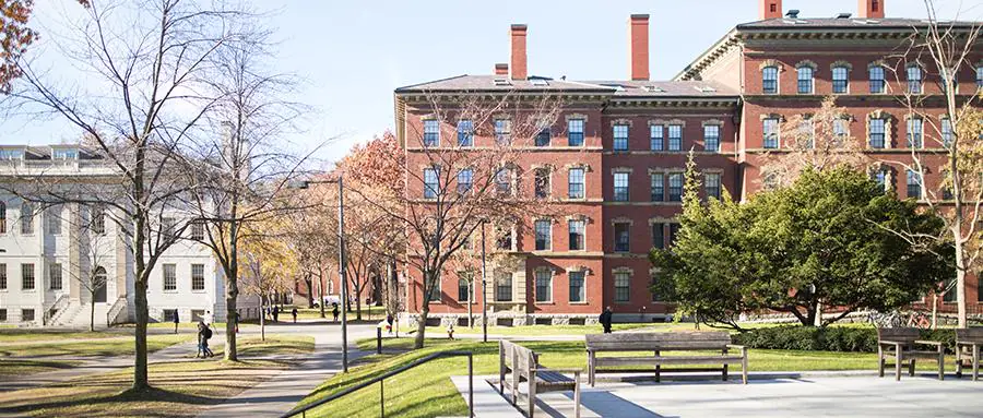 Broad Summer Scholars Program Guide