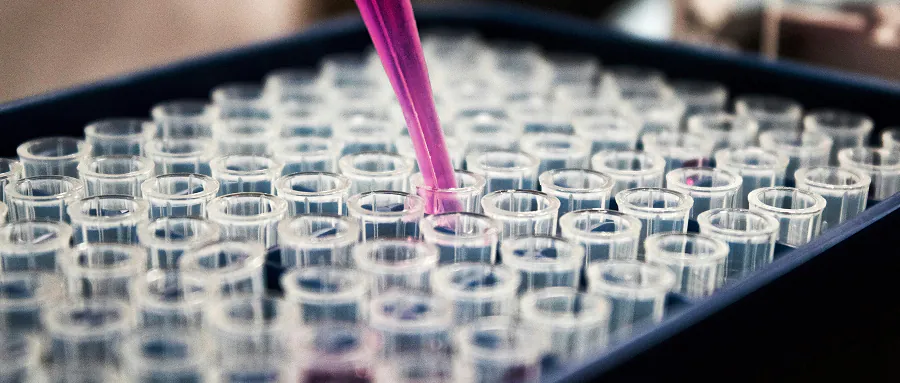 17 Best Research Programs in California