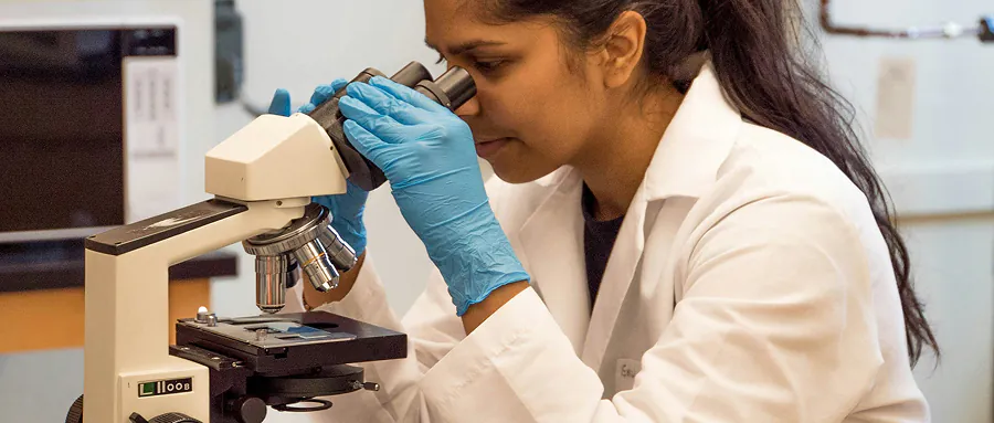 Top 12 Research Programs in Washington State