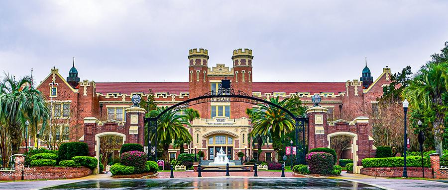 Top 12 Research Programs in Florida