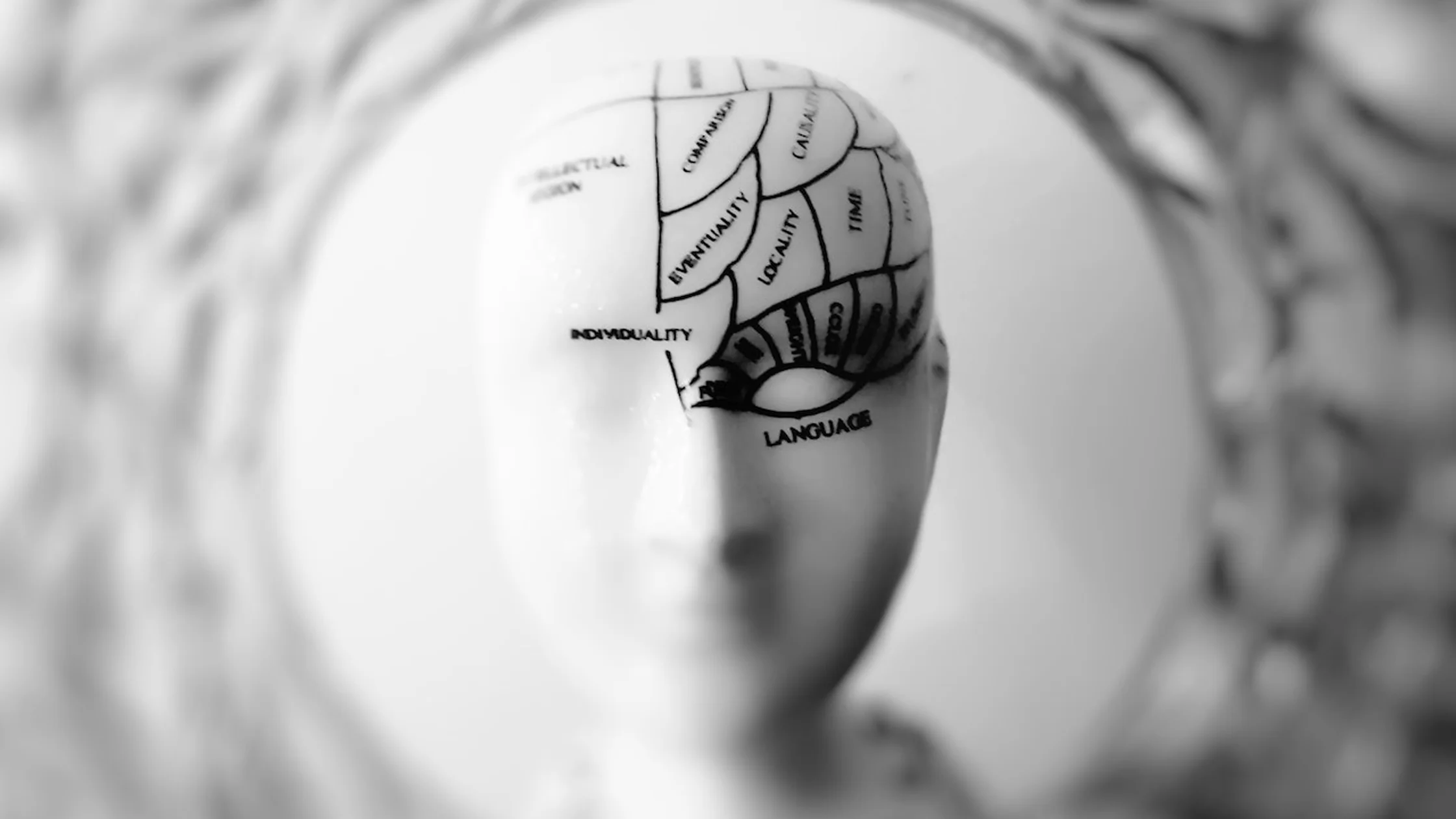 neuroscience