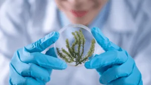 Biology research