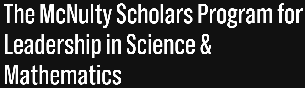 McNulty Scholars Program