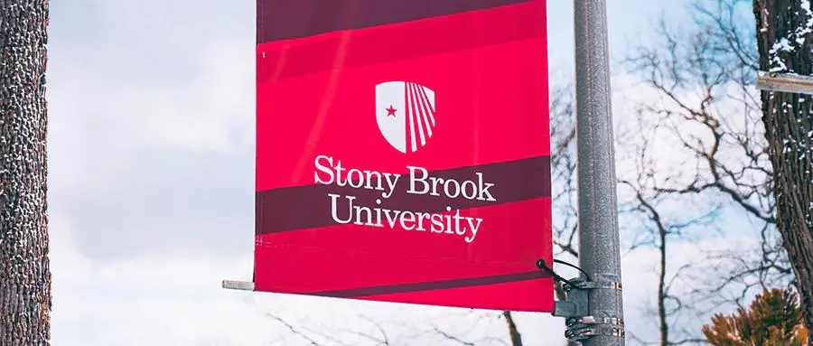 Simons Summer Research Program Guide